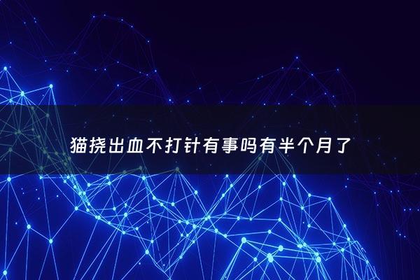 猫挠出血不打针有事吗有半个月了 - 猫挠出血不打针有事吗,猫打过疫苗