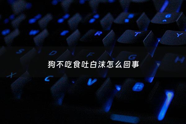 狗不吃食吐白沫怎么回事 - 狗不吃饭吐白沫是什么原因