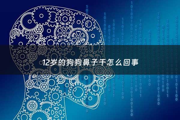 12岁的狗狗鼻子干怎么回事 - 狗鼻子长期干燥怎么办