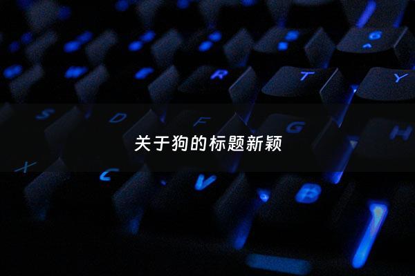 关于狗的标题新颖 - 以狗为主题的创意标题