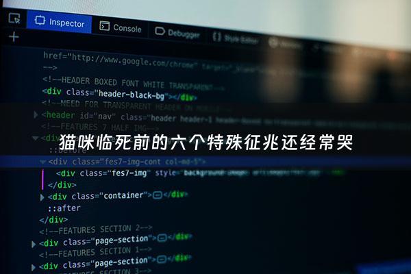 猫咪临死前的六个特殊征兆还经常哭 - 猫咪临死前主人哭她会知道吗