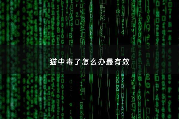 猫中毒了怎么办最有效 - 猫中毒了怎么急救