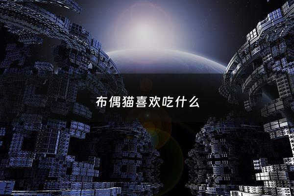 布偶猫喜欢吃什么 - 布偶猫喜欢吃什么零食呢
