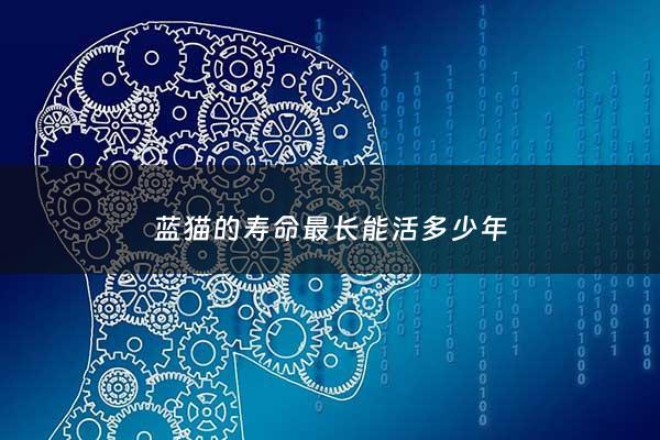 蓝猫的寿命最长能活多少年 - 蓝猫寿命是多少年?猫可以活多久?