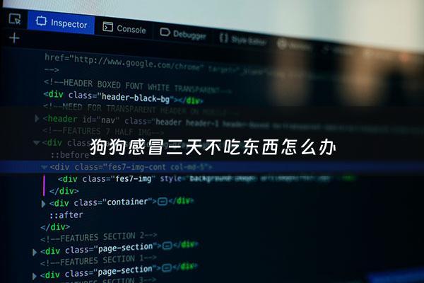 狗狗感冒三天不吃东西怎么办 - 狗狗感冒几天不吃饭会死吗