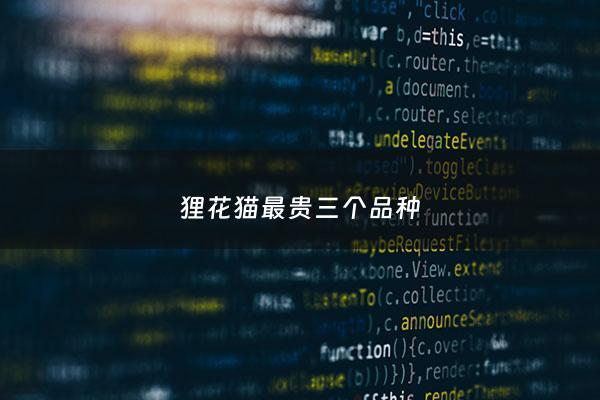 狸花猫最贵三个品种 - 三种最旺财的猫