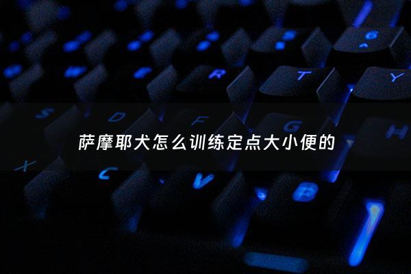 萨摩耶犬怎么训练定点大小便的 - 萨摩耶咋训练