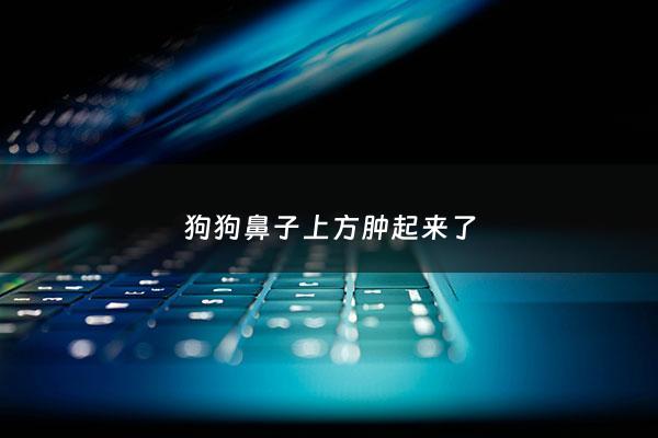 狗狗鼻子上方肿起来了 - 狗狗鼻子上方肿起来了怎么回事