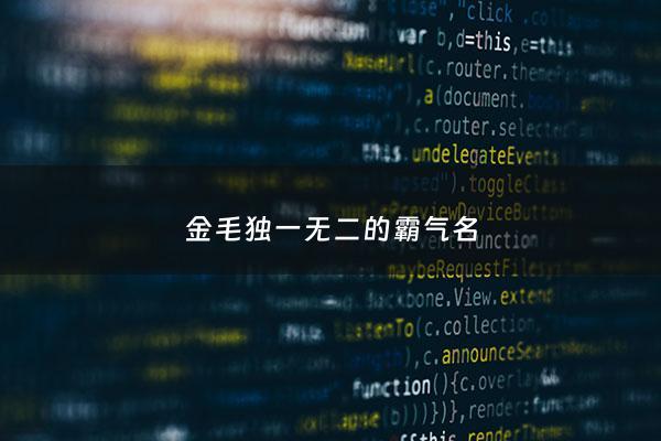 金毛独一无二的霸气名 - 金毛狗狗名字霸气独特