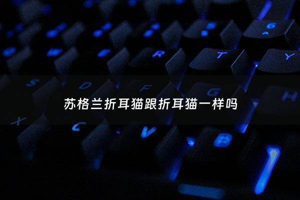 苏格兰折耳猫跟折耳猫一样吗 - 苏格兰折耳猫和普通折耳