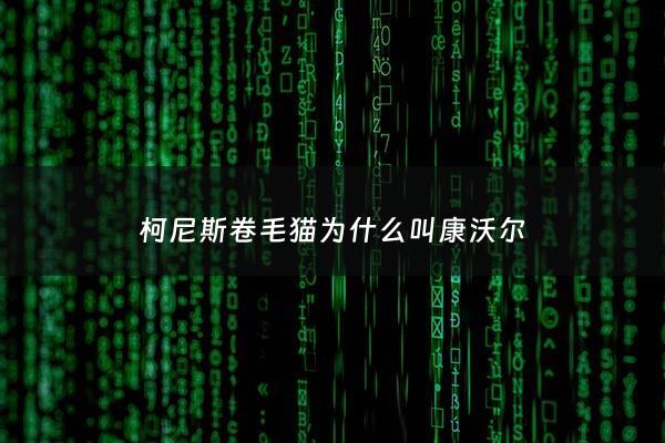 柯尼斯卷毛猫为什么叫康沃尔 - 柯尼斯卷毛猫基本外形特点