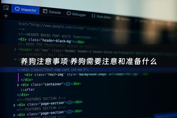 养狗注意事项 养狗需要注意和准备什么 - 养狗得注意什么