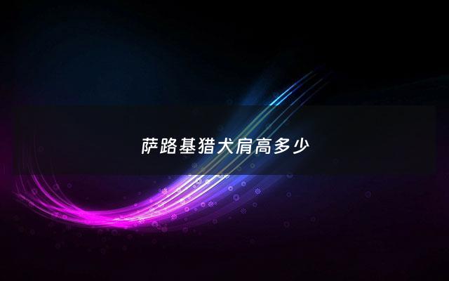 萨路基猎犬肩高多少 - 萨路基猎犬什么颜色好看
