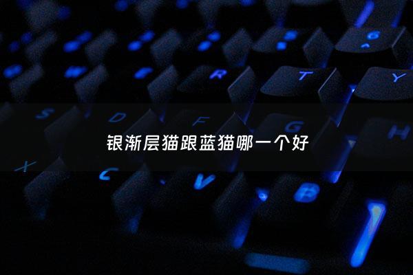 银渐层猫跟蓝猫哪一个好 - 银渐层和蓝猫谁贵一些