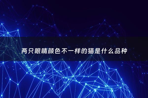两只眼睛颜色不一样的猫是什么品种 - 两只眼睛颜色不同的猫