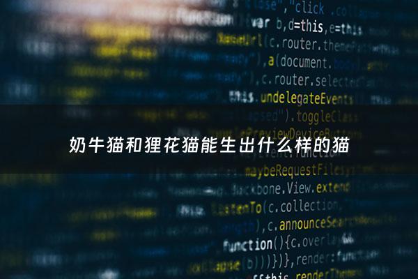 奶牛猫和狸花猫能生出什么样的猫 - 奶牛猫配狸花猫后代