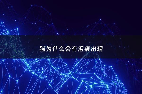 猫为什么会有泪痕出现 - 猫为什么会有泪痕出现呢