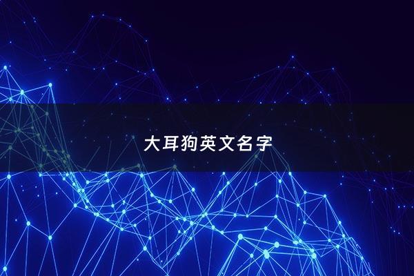 大耳狗英文名字 - 大耳狗的别名