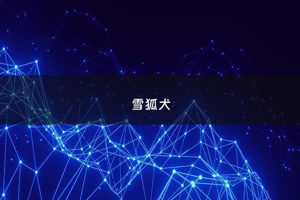 雪狐犬 - 雪狐犬是那个***的