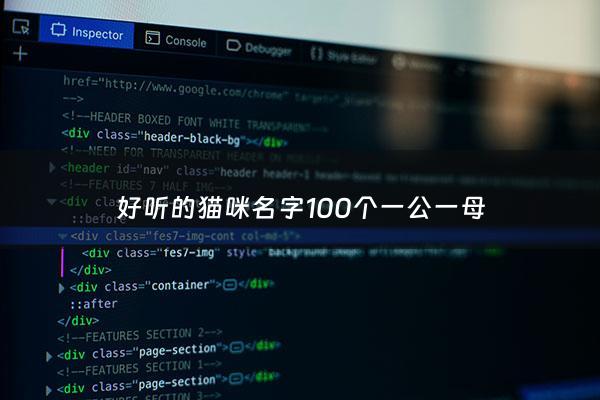 好听的猫咪名字100个一公一母 - 猫咪取名字特别一点的公