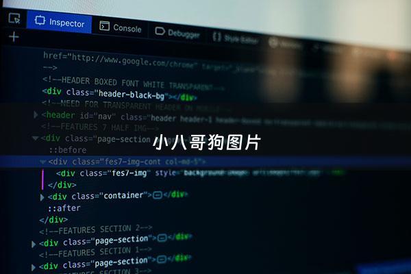 小八哥狗图片 - 小八哥图片新闻