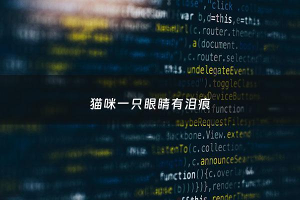 猫咪一只眼睛有泪痕 - 猫咪一只眼睛有泪痕和眼屎什么情况