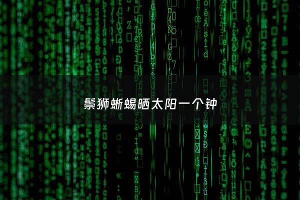 鬃狮蜥蜴晒太阳一个钟 - 鬃狮蜥晒点温度高会死吗