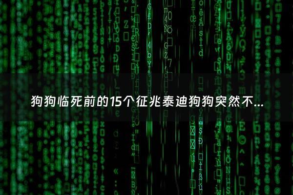 狗狗临死前的15个征兆泰迪狗狗突然不会走路 - 泰迪狗死亡前全身发软
