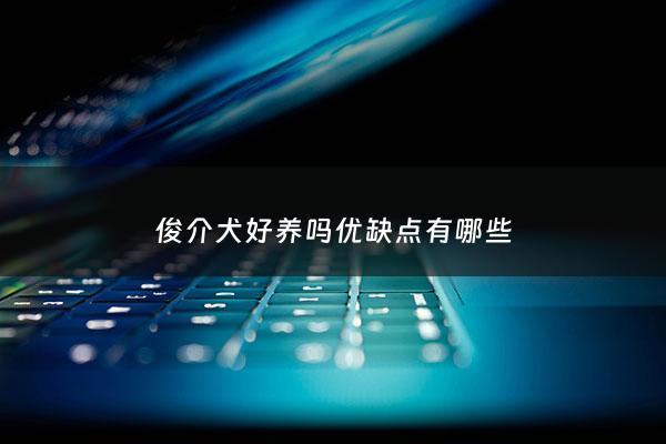 俊介犬好养吗优缺点有哪些 - 俊介犬***一只好养吗