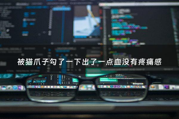 被猫爪子勾了一下出了一点血没有疼痛感 - 被猫爪子勾了一下出了一点血痕