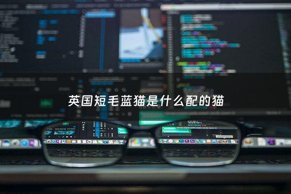 英国短毛蓝猫是什么配的猫 - 英国短毛猫和蓝猫区别 几点就让你清楚辨别
