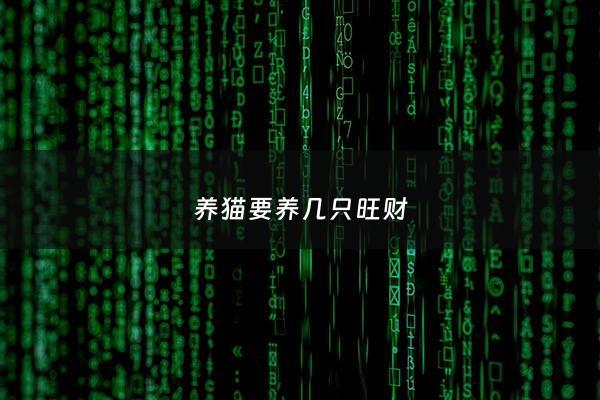 养猫要养几只旺财 - 养猫几只合适