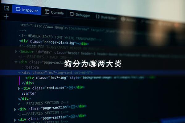 狗分为哪两大类 - 狗分为哪两大类别