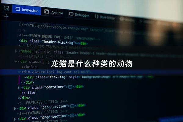 龙猫是什么种类的动物 - 龙猫是哪种动物