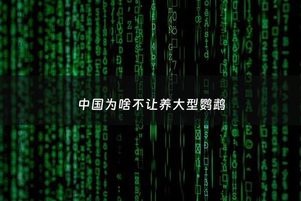 ***为啥不让养大型鹦鹉 - 国内不让养鹦鹉