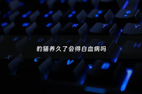 豹猫养久了会得白血病吗 - 豹猫养久了会得白血病吗***