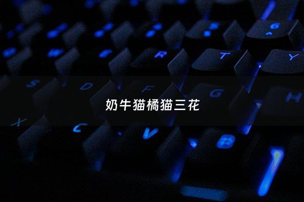 奶牛猫橘猫三花 - 奶牛猫和橘猫哪个好