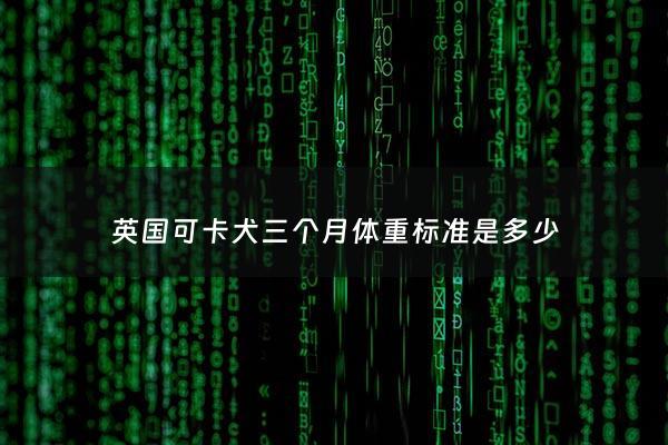 英国可卡犬三个月体重标准是多少 - 英国可卡犬成年多重