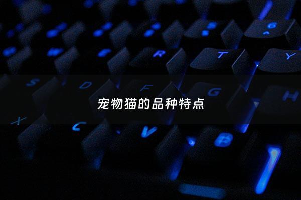 宠物猫的品种特点 - 宠物猫的品种分类