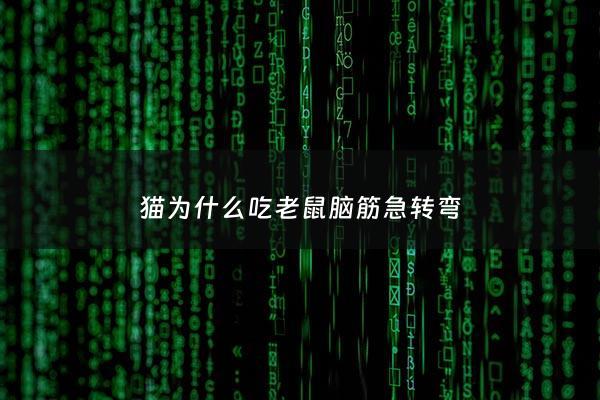 猫为什么吃老鼠脑筋急转弯 - 猫为什么吃老鼠脑筋急转弯呢