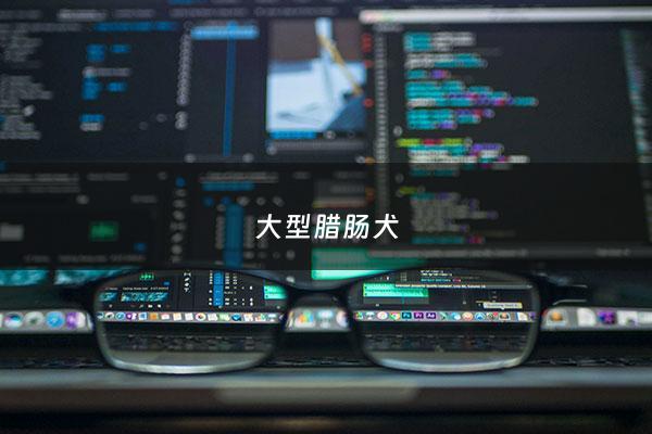 大型腊肠犬 - 腊肠犬大吗