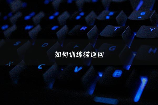 如何训练猫巡回 - 如何训练猫回家