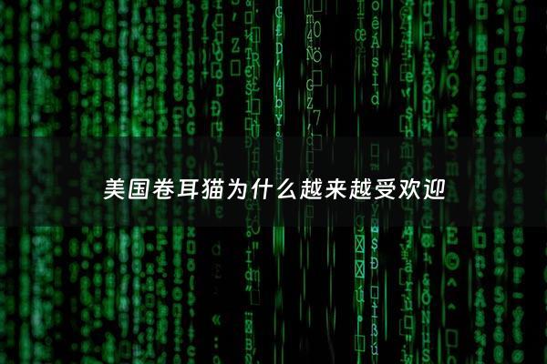 ***卷耳猫为什么越来越受欢迎 - ***卷耳猫有什么缺陷