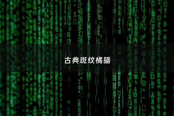 古典斑纹橘猫 - 橘色斑纹猫叫什么