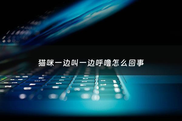 猫咪一边叫一边呼噜怎么回事 - 小猫咪一边叫一边呼噜呼噜