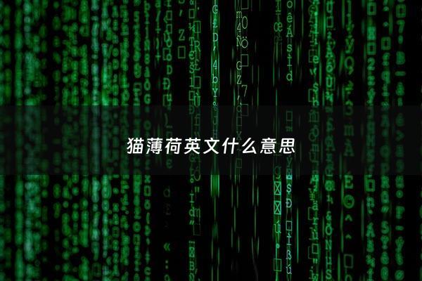 猫薄荷英文什么意思 - 猫薄荷是啥啊