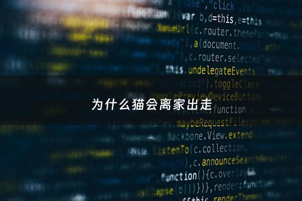 为什么猫会离家出走 - 猫为什么离家出走预示着什么