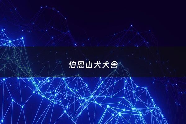 伯恩山犬犬舍 - 伯恩山犬舍***