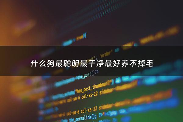 什么狗最聪明最干净最好养不掉毛 - 哪种狗聪明好养不掉毛不乱叫