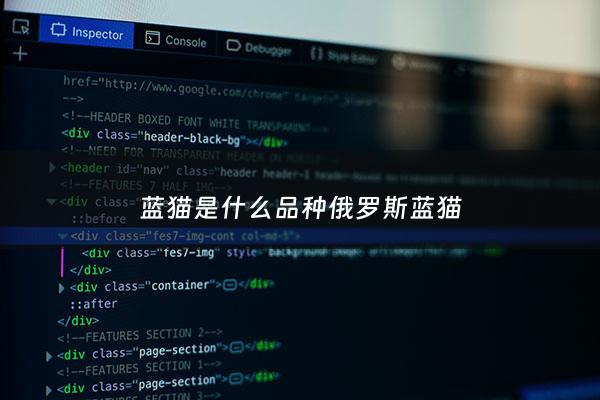 蓝猫是什么品种俄罗斯蓝猫 - 俄罗斯蓝猫简介